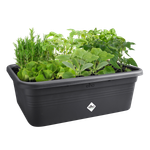 green basics grow garden l living black